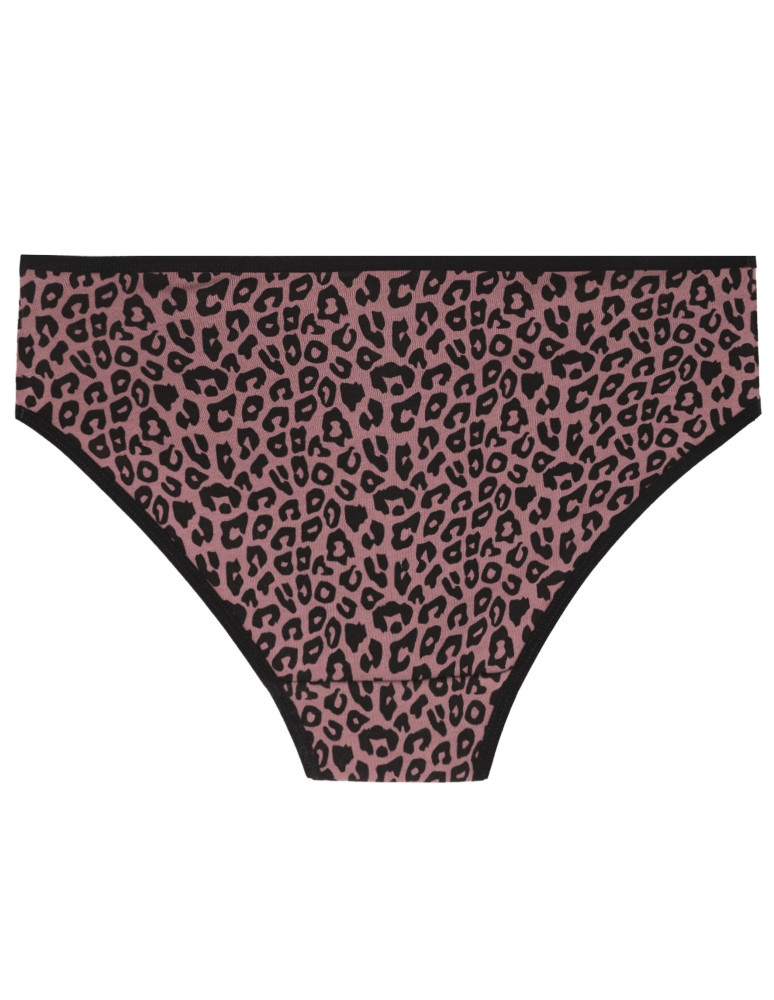 Majtki figi - Damskie majtki figi bikini z bawełny 3-pak WIELOKOLOROWY - produkt moraj.pl 5