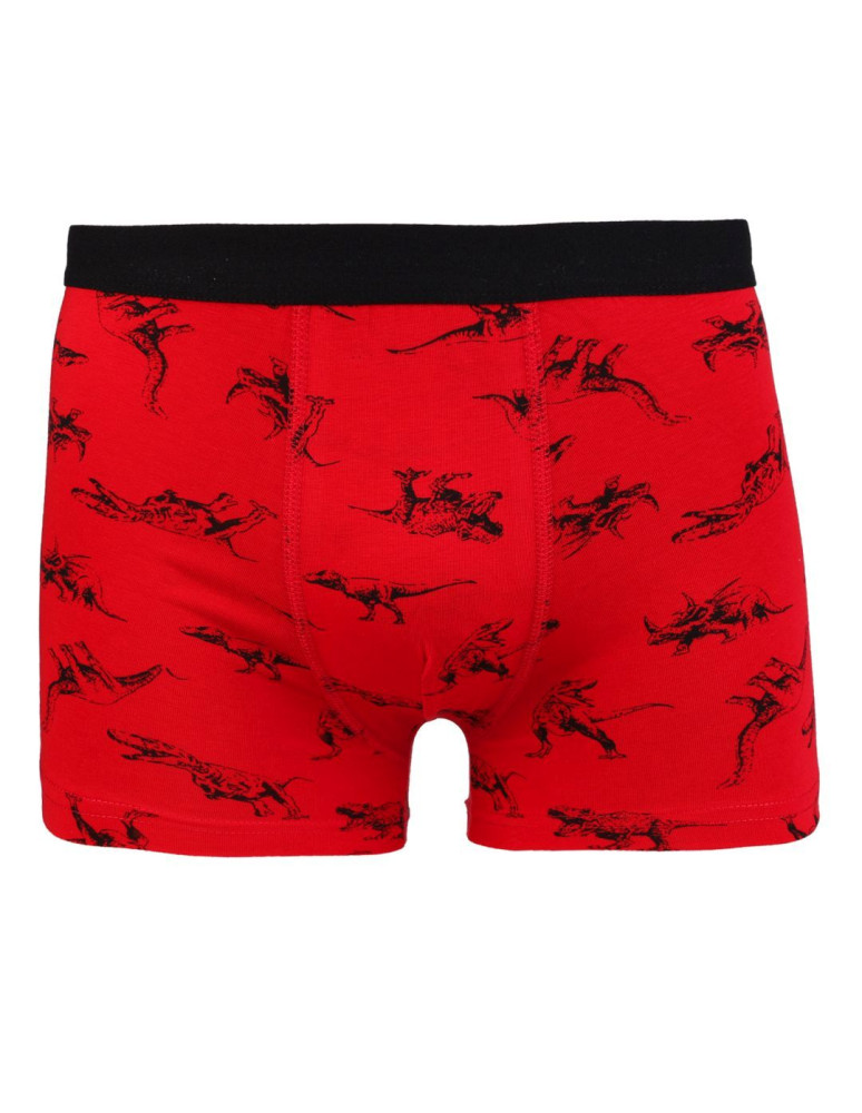 Bokserki - Majtki chłopięce bokserki bawełniane ze zwierzątkami 3-pak WIELOKOLOROWY  - produkt moraj.pl 2