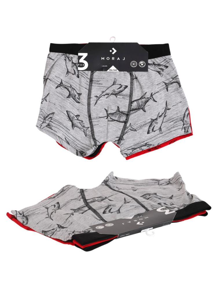 Bokserki - Majtki chłopięce bokserki bawełniane ze zwierzątkami 3-pak WIELOKOLOROWY  - produkt moraj.pl 5