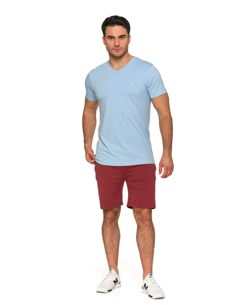 Koszulki i Tank Topy - Koszulka męska bawełna Premium T-shirt dekolt w serek JASNY NIEBIESKI - produkt moraj.pl 4