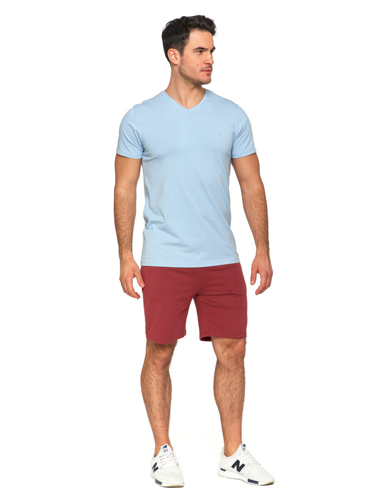 Koszulki i Tank Topy - Koszulka męska bawełna Premium T-shirt dekolt w serek JASNY NIEBIESKI - produkt moraj.pl 6