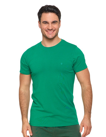 Koszulki i Tank Topy - Koszulka męska T-shirt bawełniana Premium okrągły dekolt ZIELONY - produkt 1