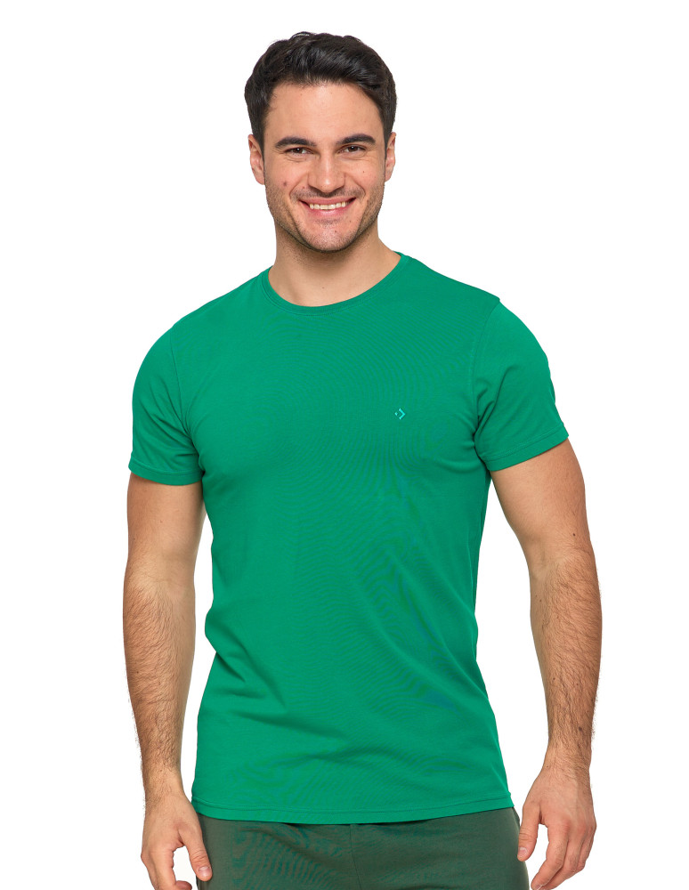Koszulki i Tank Topy - Koszulka męska T-shirt bawełniana Premium okrągły dekolt ZIELONY - produkt moraj.pl 1