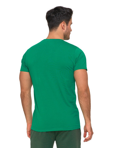 Koszulki i Tank Topy - Koszulka męska T-shirt bawełniana Premium okrągły dekolt ZIELONY - produkt 2