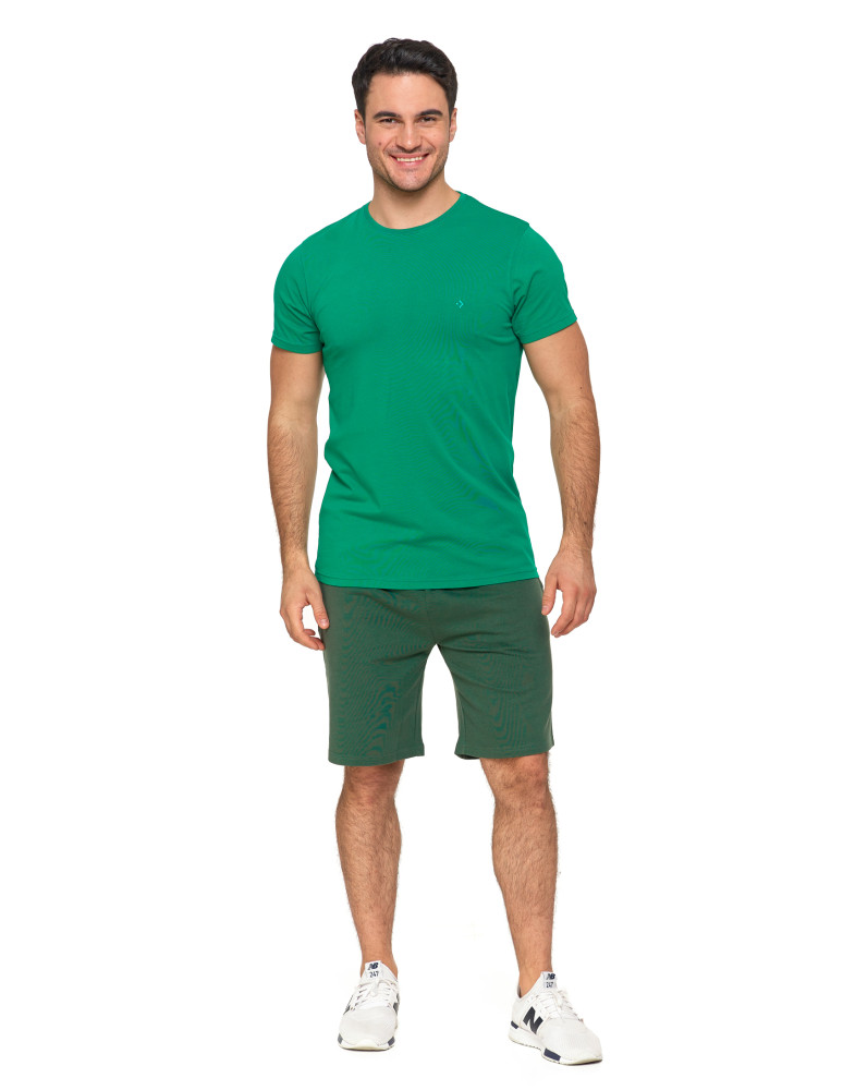 Koszulki i Tank Topy - Koszulka męska T-shirt bawełniana Premium okrągły dekolt ZIELONY  - produkt moraj.pl 7