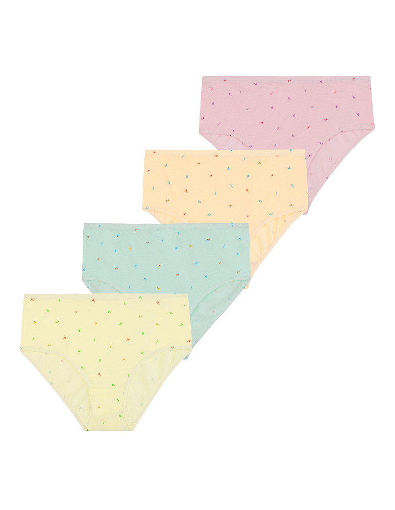 Figi majtki bawełniane plus size klasyczne 4-pak WIELOKOLOROWY