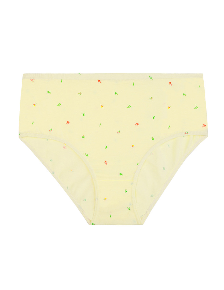 Majtki figi - Figi majtki bawełniane plus size klasyczne 4-pak WIELOKOLOROWY - produkt moraj.pl 4