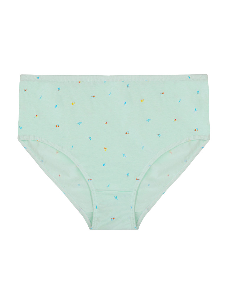 Majtki figi - Figi majtki bawełniane plus size klasyczne 4-pak WIELOKOLOROWY - produkt moraj.pl 5