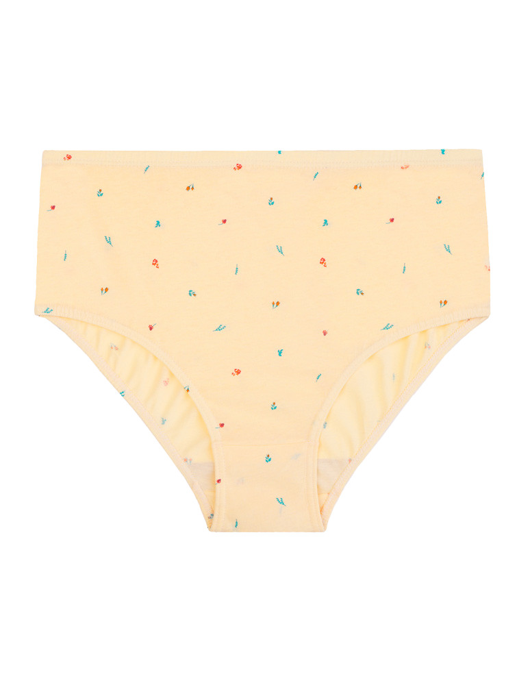 Majtki figi - Figi majtki bawełniane plus size klasyczne 4-pak WIELOKOLOROWY - produkt moraj.pl 6