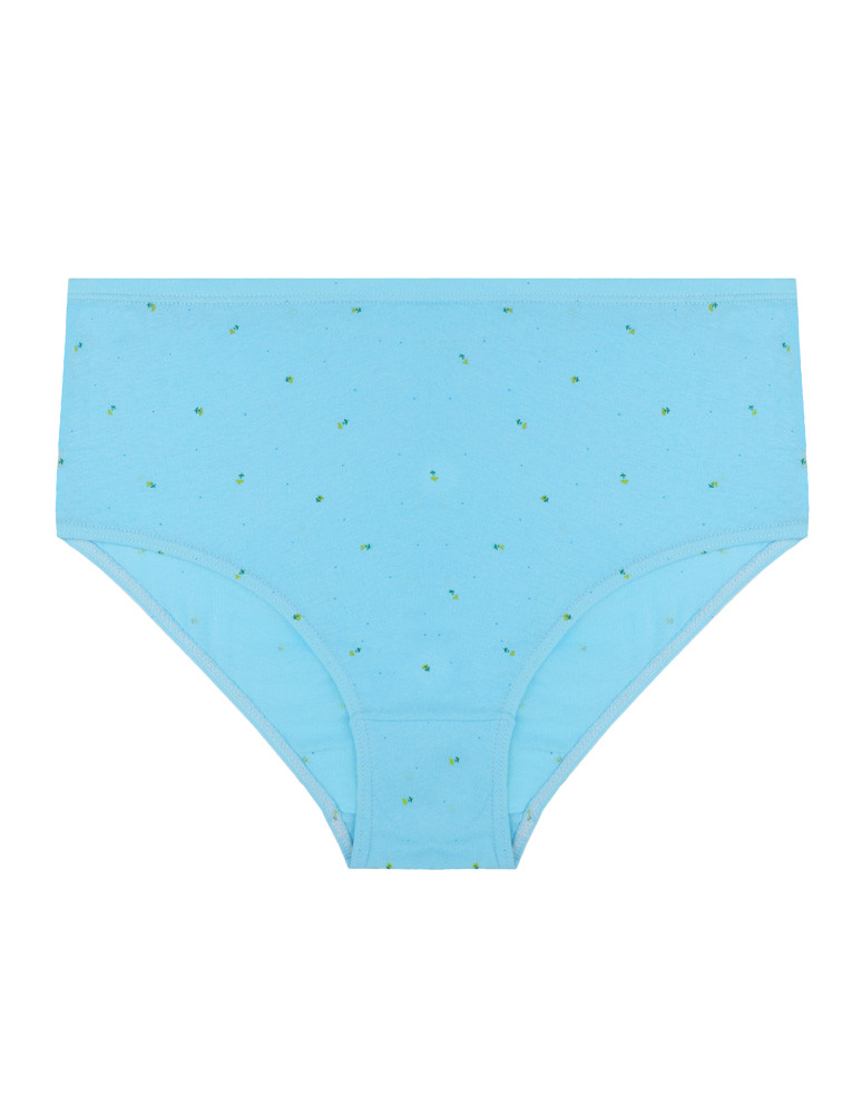 Majtki figi - Bawełniane majtki figi klasyczne plus size 4-pak WIELOKOLOROWY - produkt moraj.pl 5