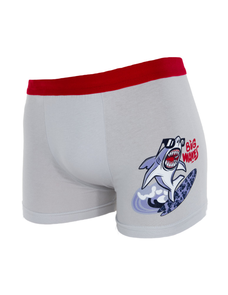 Bielizna - Majtki bokserki chłopięce bawełniane z rekinem 3-pak MIX KOLOR  - produkt moraj.pl 2