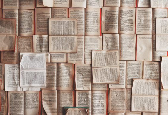 Blogowy start z przytupem!