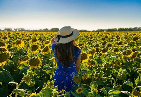 Zrobisz błąd,  jeśli sukienka z kwiecistym wzorem nie zagości w Twojej szafie!